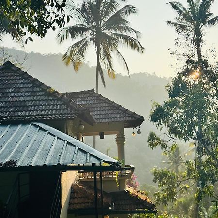 Thoppil Homestay Munnar Luaran gambar