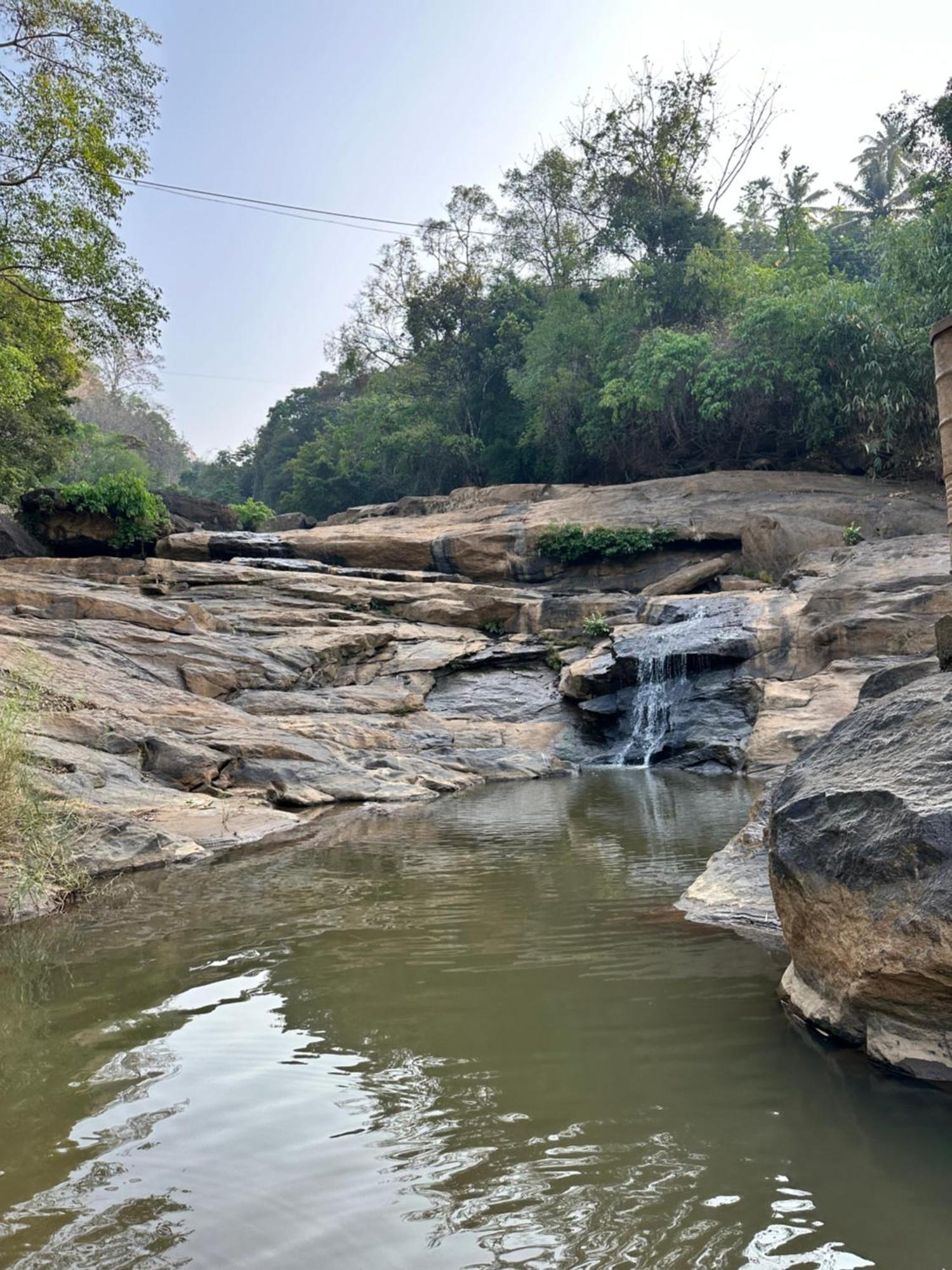 Thoppil Homestay Munnar Luaran gambar
