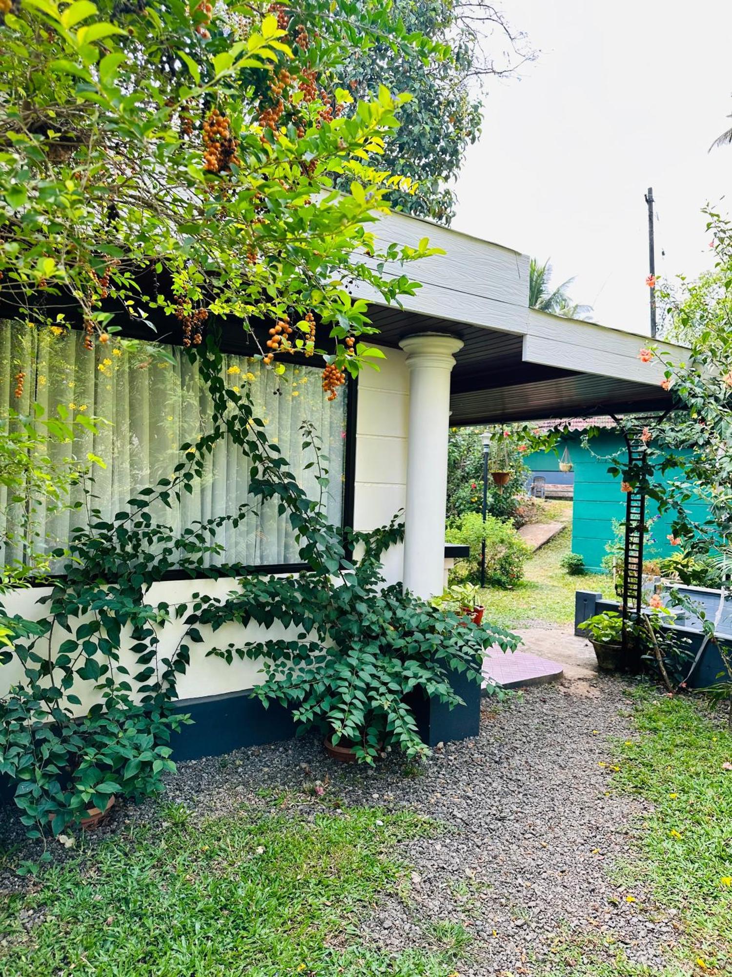 Thoppil Homestay Munnar Luaran gambar