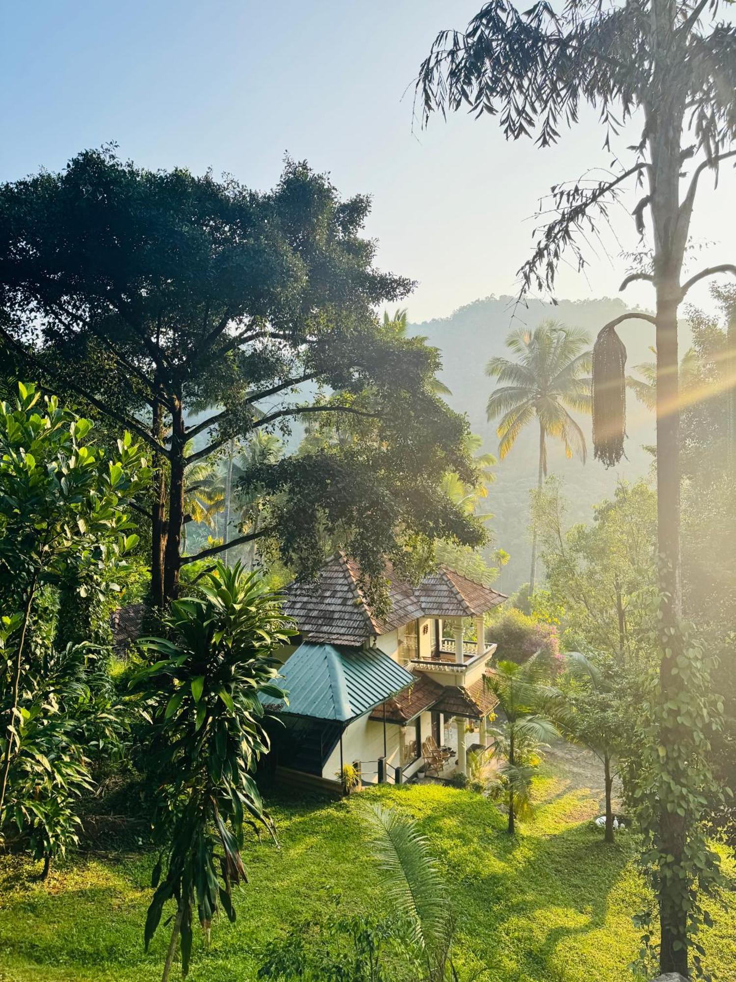 Thoppil Homestay Munnar Luaran gambar